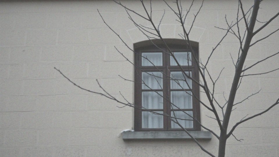 Czy można adoptować dorosłą osobę? Prawo i regulacje w Polsce