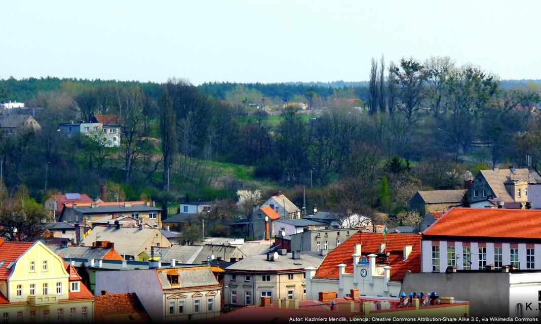 Głosowanie w Budżecie Obywatelskim Powiatu Bydgoskiego trwa do 9 października