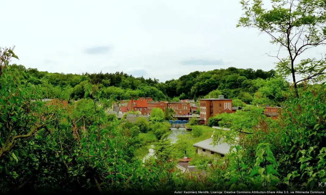 Nabór wniosków o nagrody za osiągnięcia sportowe w 2026 roku