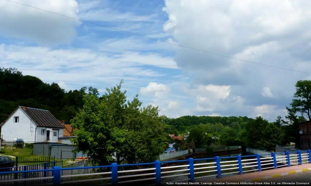 Bezpłatna konferencja o spektrum autyzmu w Koronowie